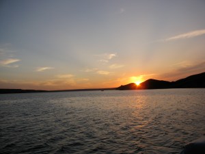 Goodness, fitness, wellness